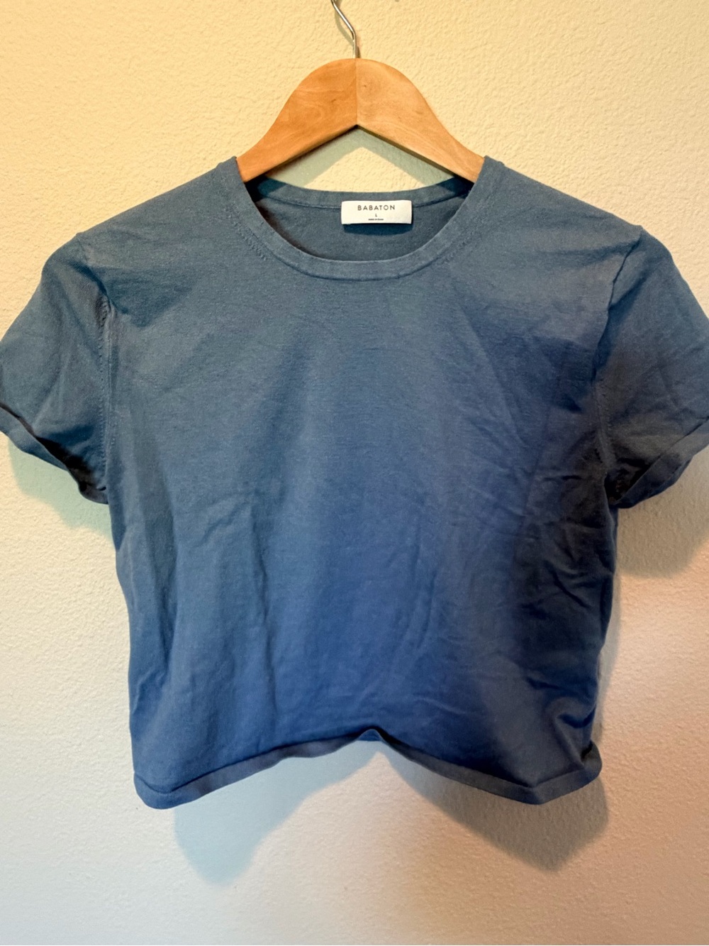 Babaton Aritzia Blue Cropped Crewneck T-Shirt Size L #0289